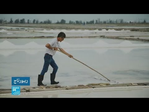 شاهد رواج تجارة الملح في الصين وكان ثمنه قديمًا أغلى من الذهب