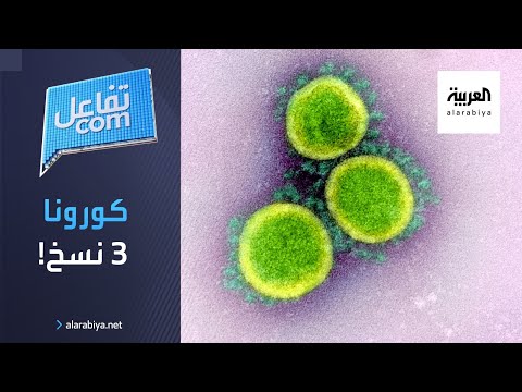 شاهد علماء يكتشفون نسختين من كورونا خارج الصين