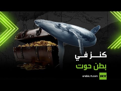 شاهد العثور على كنز في بطن حوت